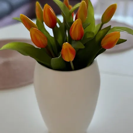 Appartamento Sunset Serenity Podaca