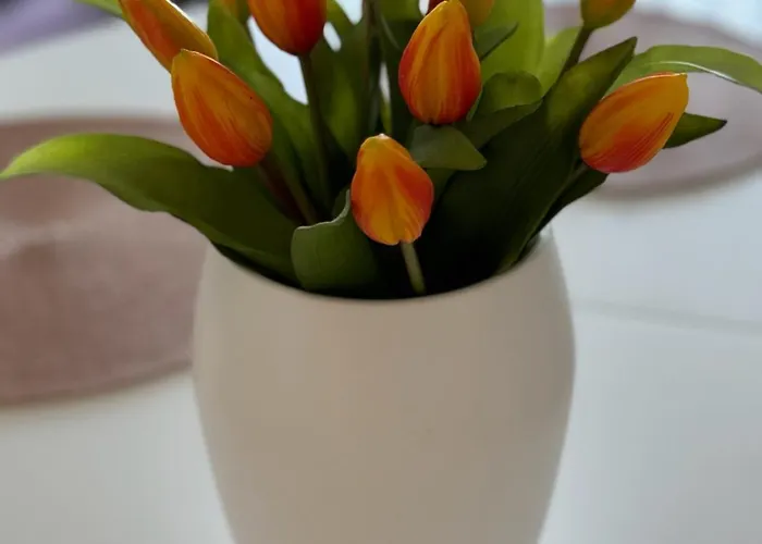 Διαμέρισμα Sunset Serenity Podaca